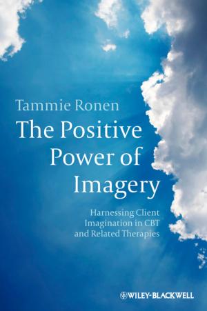 Cover of the book The Positive Power of Imagery by Guojun Gan, Chaoqun Ma, Hong Xie