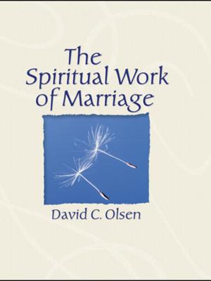 Cover of the book The Spiritual Work of Marriage by David Littlefield
