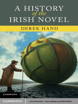 Cover of the book A History of the Irish Novel by John van der Hoek, Robert J. Elliott