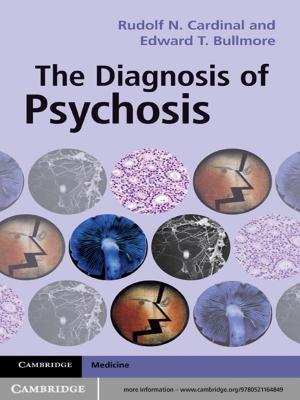 Cover of the book The Diagnosis of Psychosis by Janelle Reinelt, Gerald Hewitt