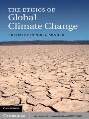 Cover of the book The Ethics of Global Climate Change by Richard Ned Lebow