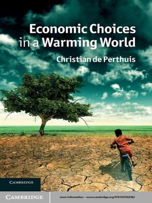 Cover of the book Economic Choices in a Warming World by Gabriel Sheffer, Oren Barak