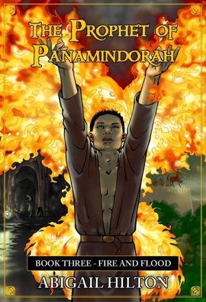 bigCover of the book The Prophet of Panamindorah, Book 3 Fire and Flood by 