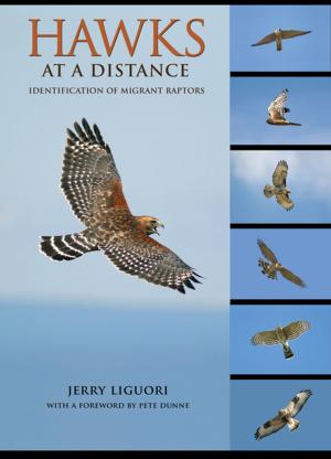 Cover of the book Hawks at a Distance by Helen Vendler