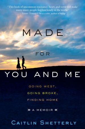 Book cover of Made for You and Me