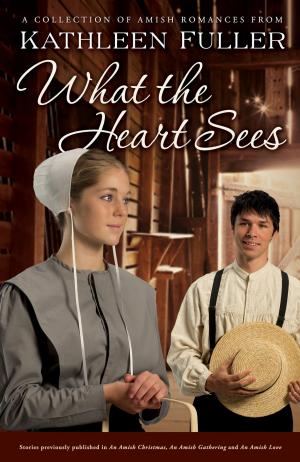 Cover of the book What the Heart Sees by Rodney Howard-Browne