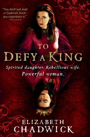 bigCover of the book To Defy a King by 