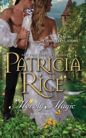 Cover of the book Merely Magic by Raine Thomas