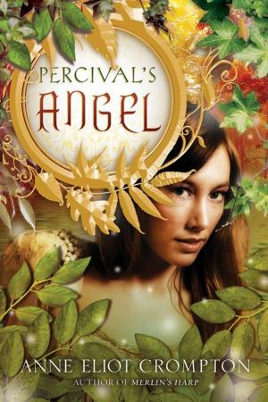 Cover of the book Percival's Angel by Janet Rising