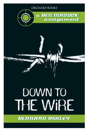 Cover of the book Down To The Wire by Adam Blade