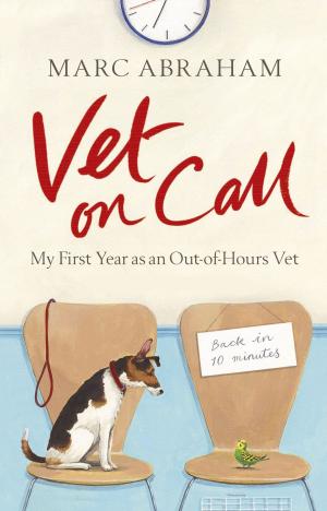 Cover of the book Vet on Call by Phyllis Speight