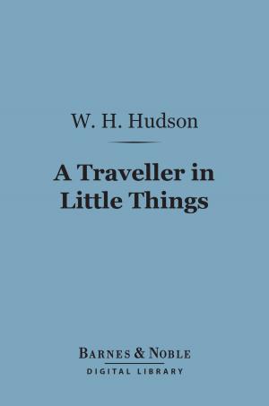 Cover of the book A Traveller in Little Things (Barnes & Noble Digital Library) by Edward Garnett