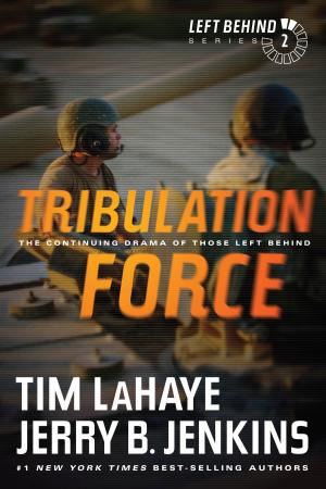 Cover of the book Tribulation Force by Ellen Miller