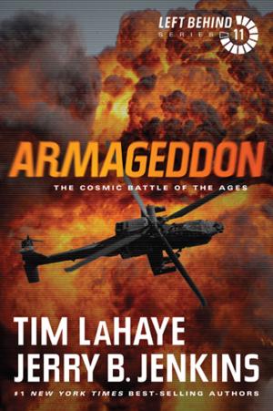 Cover of the book Armageddon by Allison Pittman