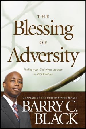 Cover of the book The Blessing of Adversity by Bill Higgs
