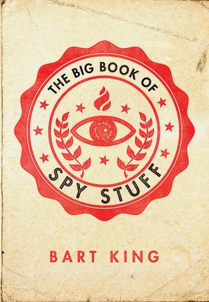 Book cover of Big Book of Spy Stuff