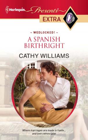 Cover of the book A Spanish Birthright by Sally Carleen