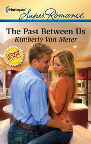 Cover of the book The Past Between Us by Natalie Rivers
