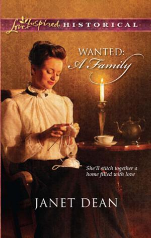 Cover of the book Wanted: A Family by Terri Reed