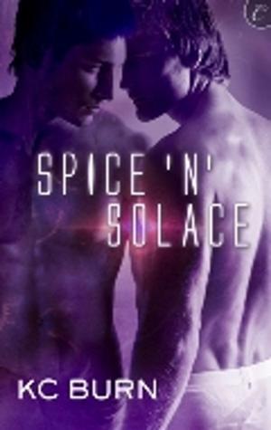 Cover of the book Spice 'n' Solace by Annabeth Albert