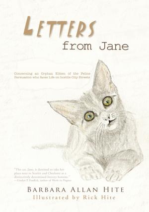Book cover of Letters from Jane