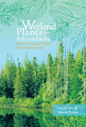 Cover of the book Wetland Plants of the Adirondacks: Ferns, Woody Plants, and Graminoids by Sally Iyobebe