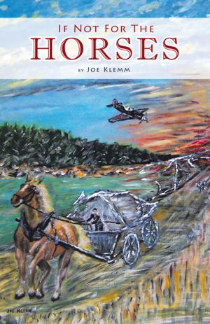 bigCover of the book If Not for the Horses by 