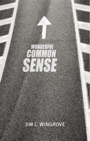 Cover of the book Wonderful Common Sense by Glenroy Solomon Burke