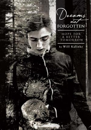 Book cover of Dreams Not Forgotten