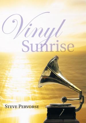 bigCover of the book Vinyl Sunrise by 