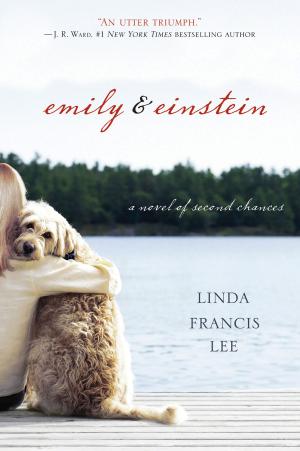 Book cover of Emily & Einstein