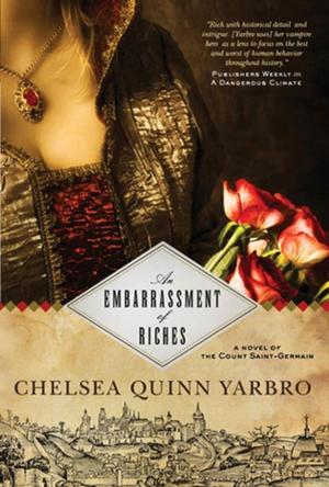Cover of the book An Embarrassment of Riches by Trish Rechichi