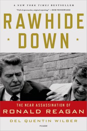Cover of the book Rawhide Down by Gillibran Brown