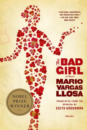 Book cover of The Bad Girl