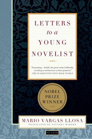 Cover of the book Letters to a Young Novelist by 