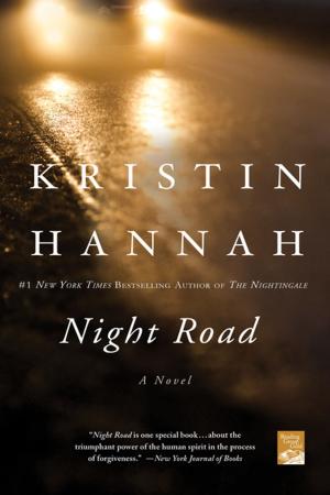 Cover of the book Night Road by Frances Brody