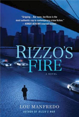 Cover of the book Rizzo's Fire by John Connolly