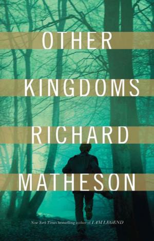 Cover of the book Other Kingdoms by Lawrence Watt-Evans