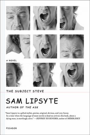 Cover of the book The Subject Steve by Merritt Watts, Hanya Yanagihara
