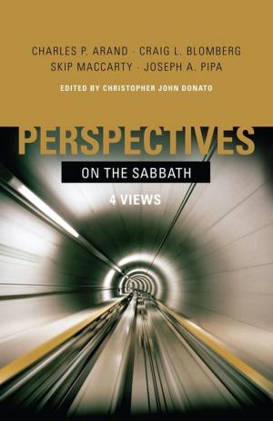 Cover of the book Perspectives on the Sabbath by Tricia Goyer, Jon Erwin, Andrew Erwin, Andrea Nasfell