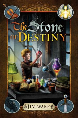 Book cover of The Stone of Destiny