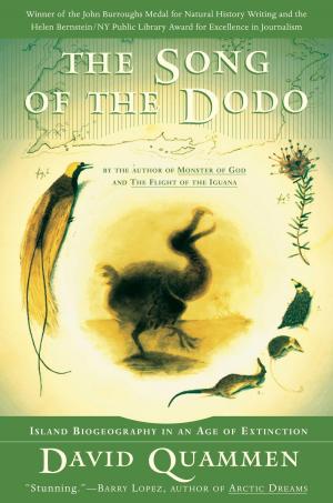 Cover of the book The Song of the Dodo by Amy Hempel