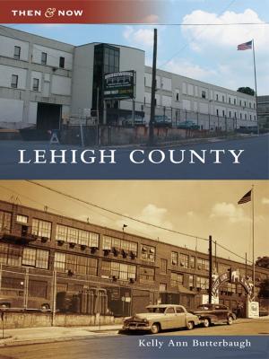 Cover of the book Lehigh County by Mike Schafer