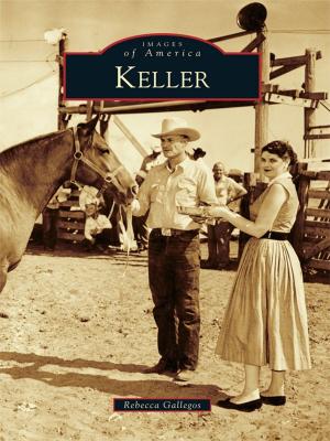 Cover of the book Keller by Ray John de Aragón
