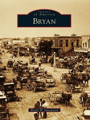 Cover of the book Bryan by Holly Day, Sherman Wick