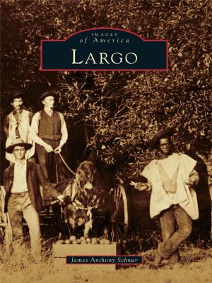 Cover of the book Largo by Henrik Krogius