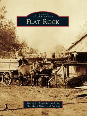 Cover of the book Flat Rock by David Meyers, Elise Meyers Walker, Jeff Chenault, Doug Motz