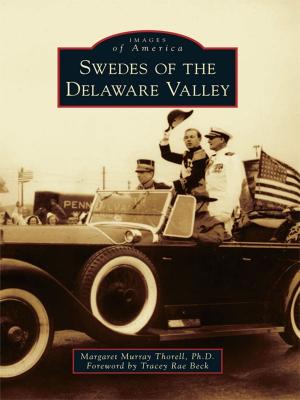 Cover of the book Swedes of the Delaware Valley by Beverly Mount-Douds