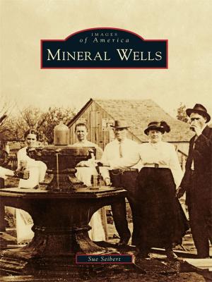 Cover of the book Mineral Wells by Ronald Pesha