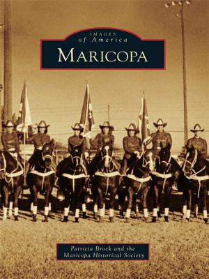 Cover of the book Maricopa by Cheryl Seber Weiderspahn